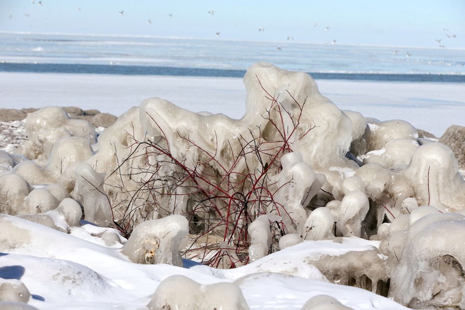 ABD'de kutup girdabı 21 can aldı - 13