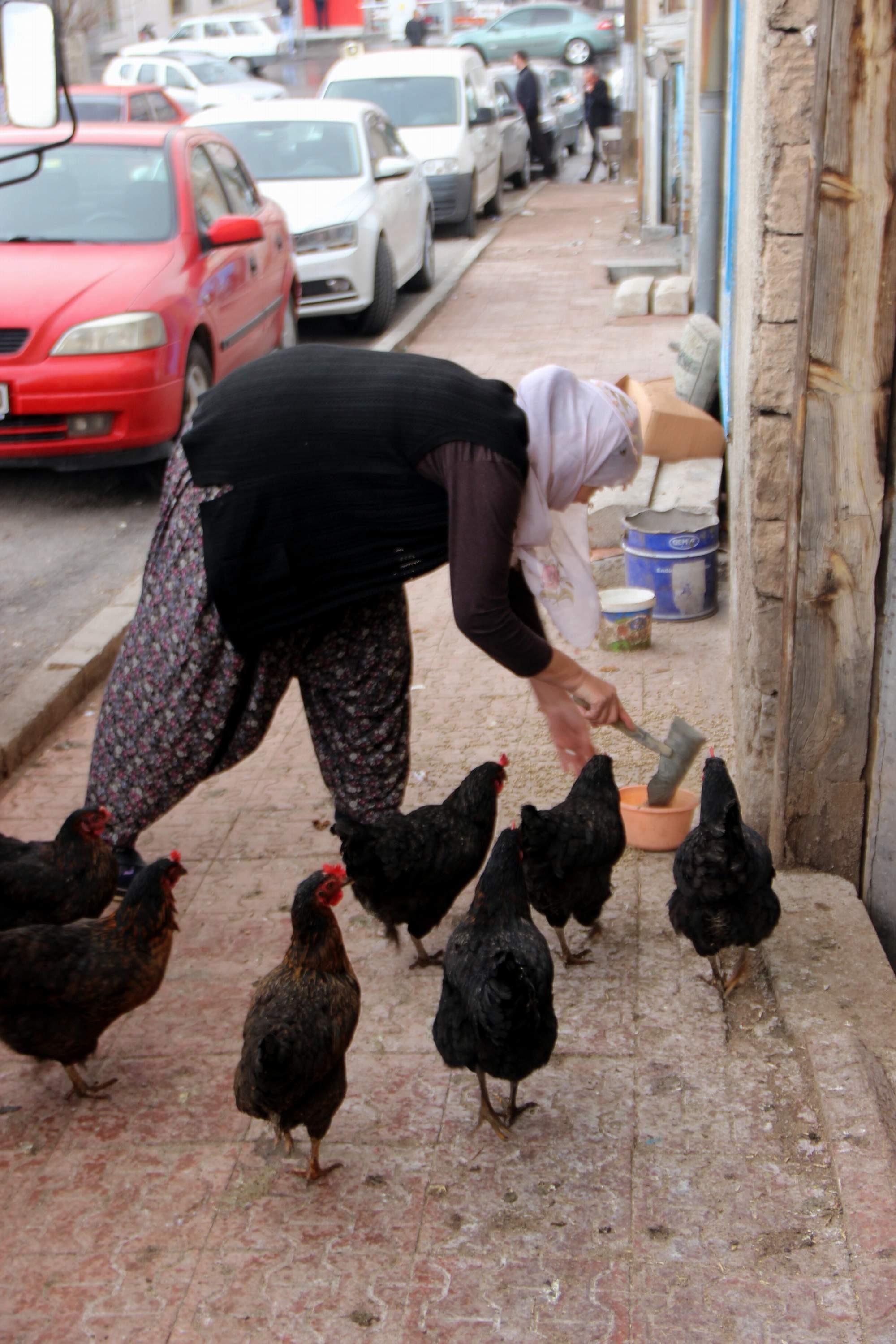 Yarışma programına katılıp fenomen olan kadın muhtar adayı oldu - 6