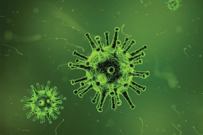 Bu salgın domuz gribinden daha tehlikeli - 4