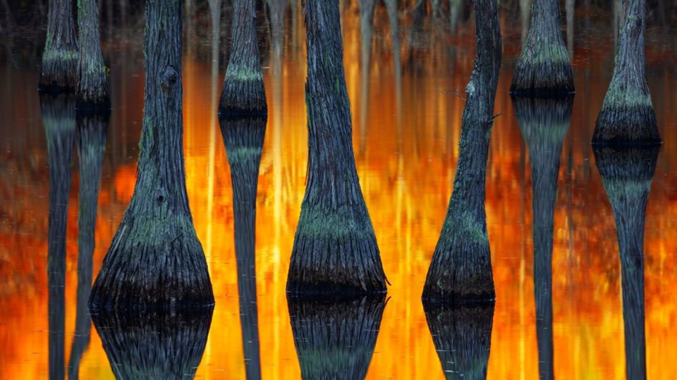 2018'de çekilen en iyi manzara fotoğrafları - 8