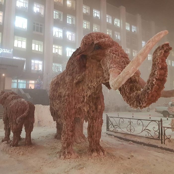 Eksi 62 dereceyle dünyanın en soğuk köyü: Oymyakon - 2