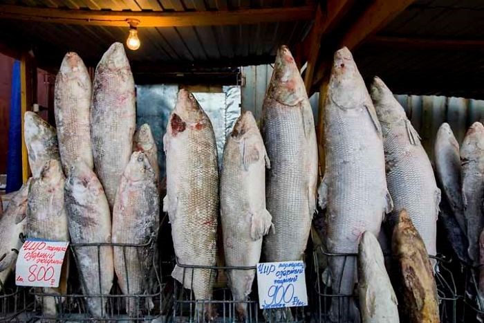Eksi 62 dereceyle dünyanın en soğuk köyü: Oymyakon - 13