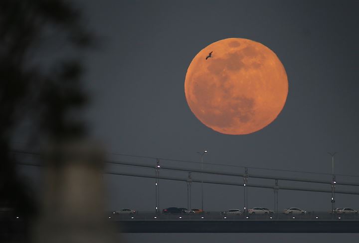 Yılın ilk 'Süper Ayı' görüntülendi - 36