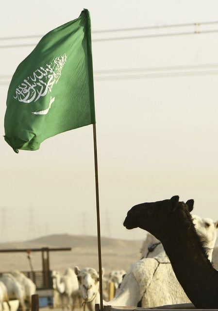 Benzinin ülkelere göre fiyatı - 56