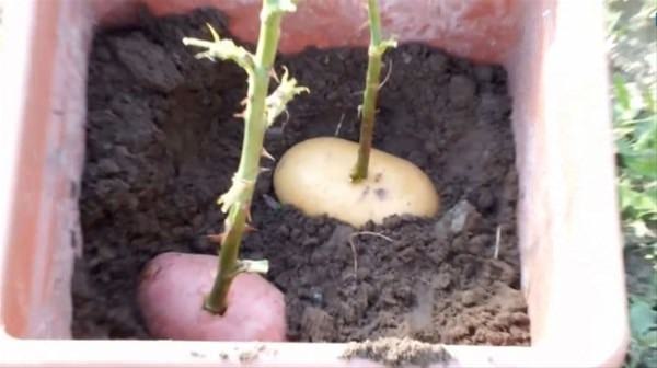 Bu bilgileri ya yanlış biliyorsunuz ya da hiç duymadınız. - 12