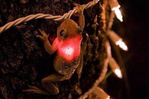 Bu bilgileri ya yanlış biliyorsunuz ya da hiç duymadınız. - 14