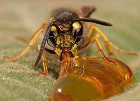 Bu bilgileri ya yanlış biliyorsunuz ya da hiç duymadınız. - 21