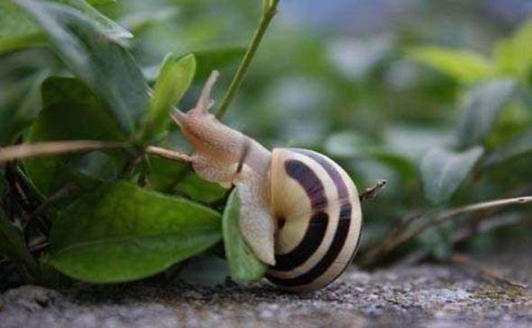 Bu bilgileri ya yanlış biliyorsunuz ya da hiç duymadınız. - 23