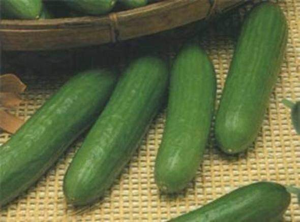 Bu bilgileri ya yanlış biliyorsunuz ya da hiç duymadınız. - 24