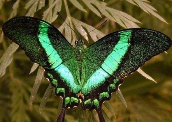 Bu bilgileri ya yanlış biliyorsunuz ya da hiç duymadınız. - 26