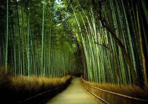 Bu bilgileri ya yanlış biliyorsunuz ya da hiç duymadınız. - 29