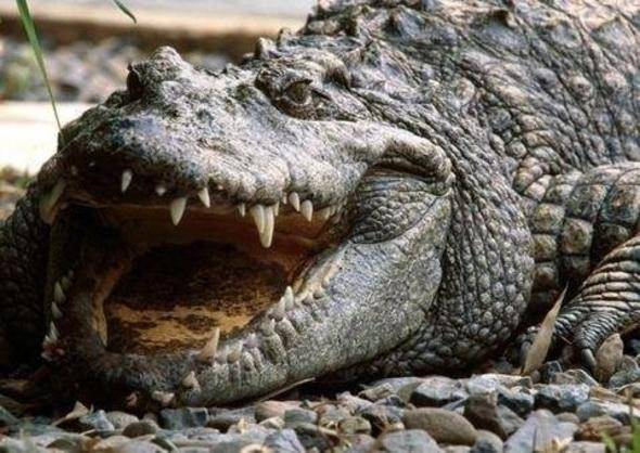 Bu bilgileri ya yanlış biliyorsunuz ya da hiç duymadınız. - 34