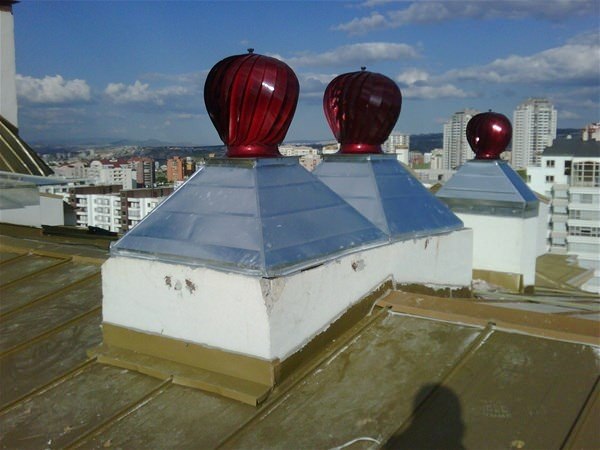 Bu bilgileri ya yanlış biliyorsunuz ya da hiç duymadınız. - 41