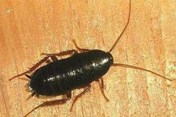 Bu bilgileri ya yanlış biliyorsunuz ya da hiç duymadınız. - 35