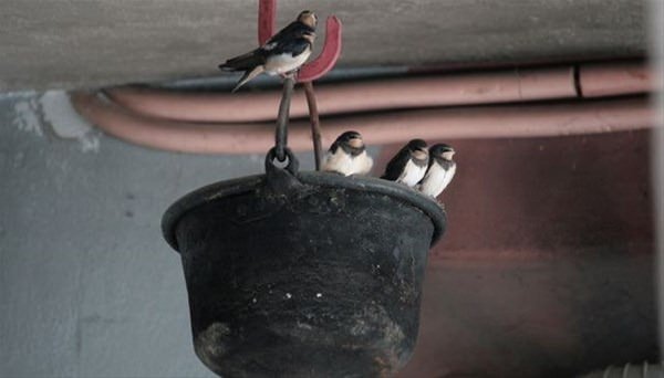 Bu bilgileri ya yanlış biliyorsunuz ya da hiç duymadınız. - 54