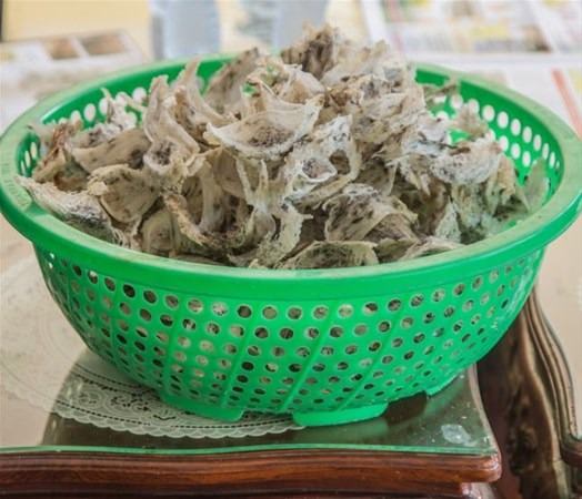 Bu bilgileri ya yanlış biliyorsunuz ya da hiç duymadınız. - 53