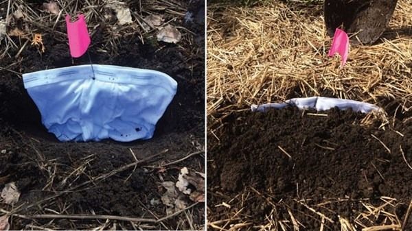 Bu bilgileri ya yanlış biliyorsunuz ya da hiç duymadınız. - 66