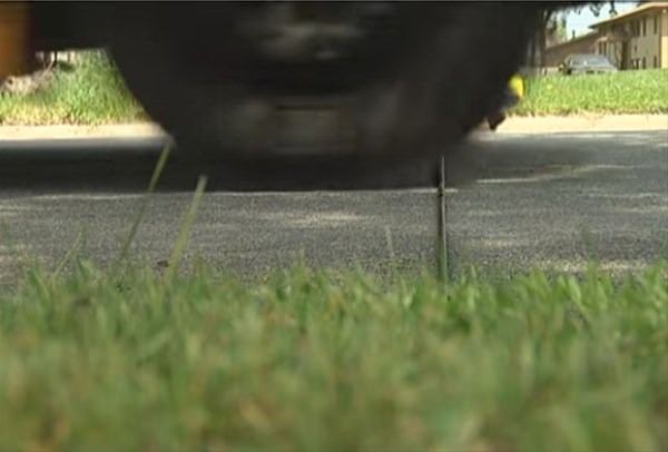 Bu bilgileri ya yanlış biliyorsunuz ya da hiç duymadınız. - 74