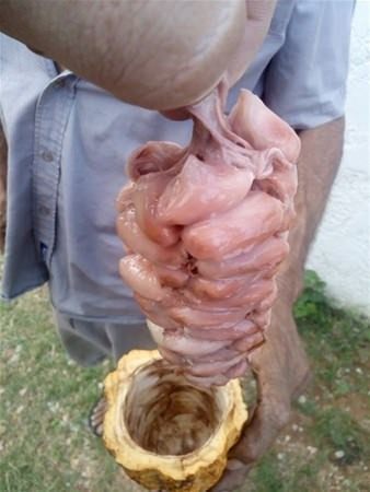 Bu bilgileri ya yanlış biliyorsunuz ya da hiç duymadınız. - 75