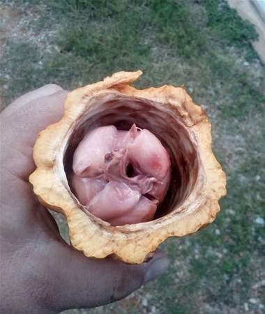 Bu bilgileri ya yanlış biliyorsunuz ya da hiç duymadınız. - 76