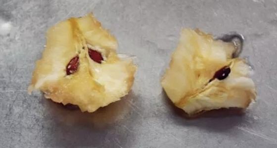 Bu bilgileri ya yanlış biliyorsunuz ya da hiç duymadınız. - 104