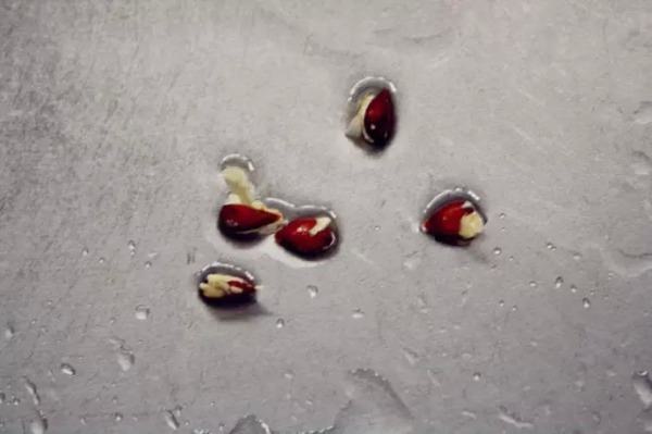 Bu bilgileri ya yanlış biliyorsunuz ya da hiç duymadınız. - 105