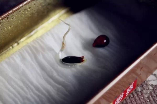 Bu bilgileri ya yanlış biliyorsunuz ya da hiç duymadınız. - 109