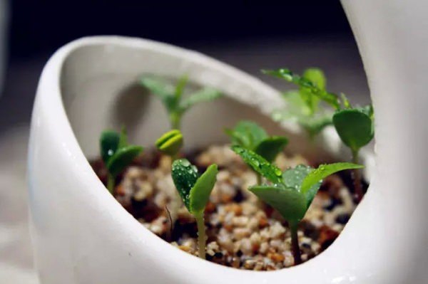 Bu bilgileri ya yanlış biliyorsunuz ya da hiç duymadınız. - 110