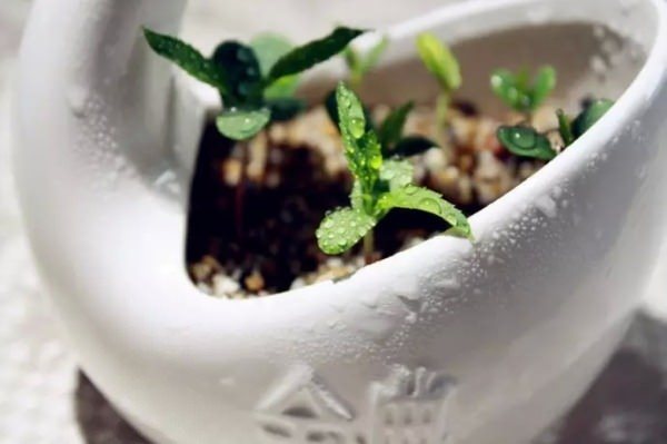 Bu bilgileri ya yanlış biliyorsunuz ya da hiç duymadınız. - 111