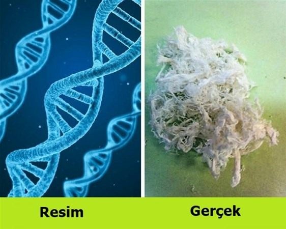 Bu bilgileri ya yanlış biliyorsunuz ya da hiç duymadınız. - 122