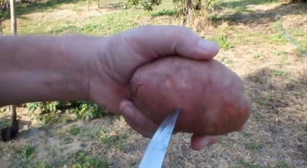 Bu bilgileri ya yanlış biliyorsunuz ya da hiç duymadınız. - 123