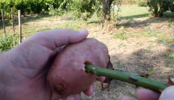 Bu bilgileri ya yanlış biliyorsunuz ya da hiç duymadınız. - 125