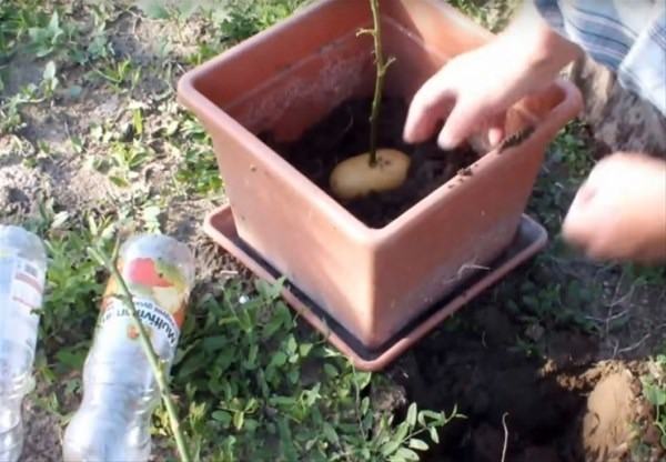 Bu bilgileri ya yanlış biliyorsunuz ya da hiç duymadınız. - 127