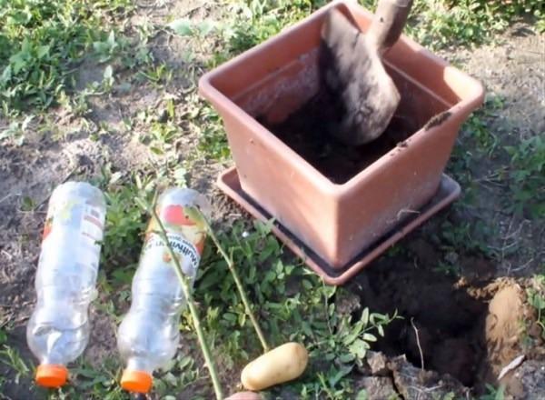 Bu bilgileri ya yanlış biliyorsunuz ya da hiç duymadınız. - 129