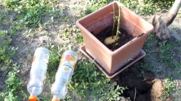 Bu bilgileri ya yanlış biliyorsunuz ya da hiç duymadınız. - 130