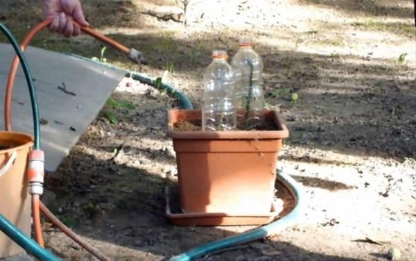 Bu bilgileri ya yanlış biliyorsunuz ya da hiç duymadınız. - 132