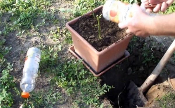 Bu bilgileri ya yanlış biliyorsunuz ya da hiç duymadınız. - 131