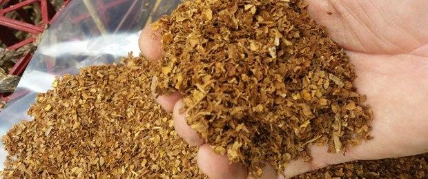 Tarih'te bugün: 26 Şubat'ta olan önemli olaylar - 3