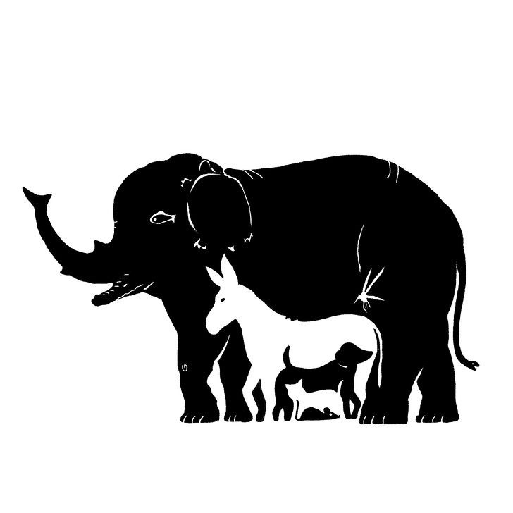 Bu resimde kaç tane hayvan var? - 1