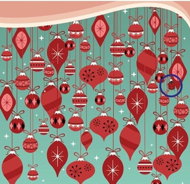 Bu resimde kaç tane hayvan var? - 32