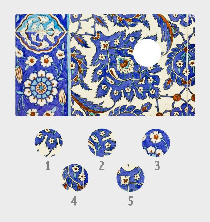 Bu resimde kaç tane hayvan var? - 37