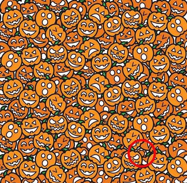 Bu resimde kaç tane hayvan var? - 41