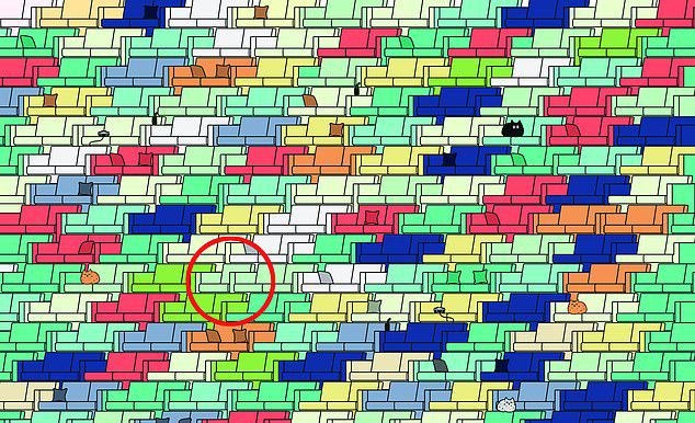 Bu resimde kaç tane hayvan var? - 39