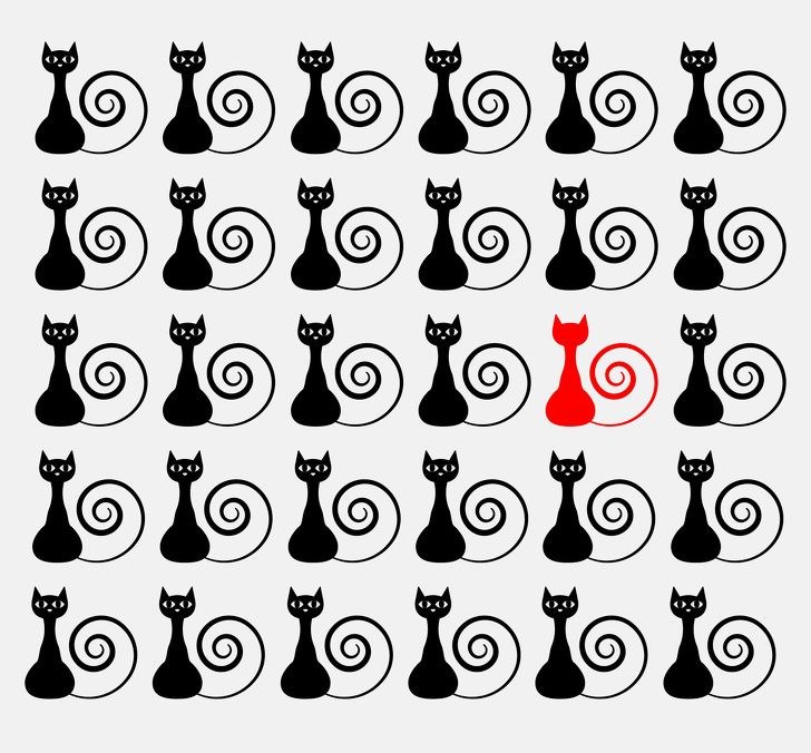 Bu resimde kaç tane hayvan var? - 43