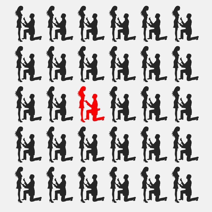 Bu resimde kaç tane hayvan var? - 46