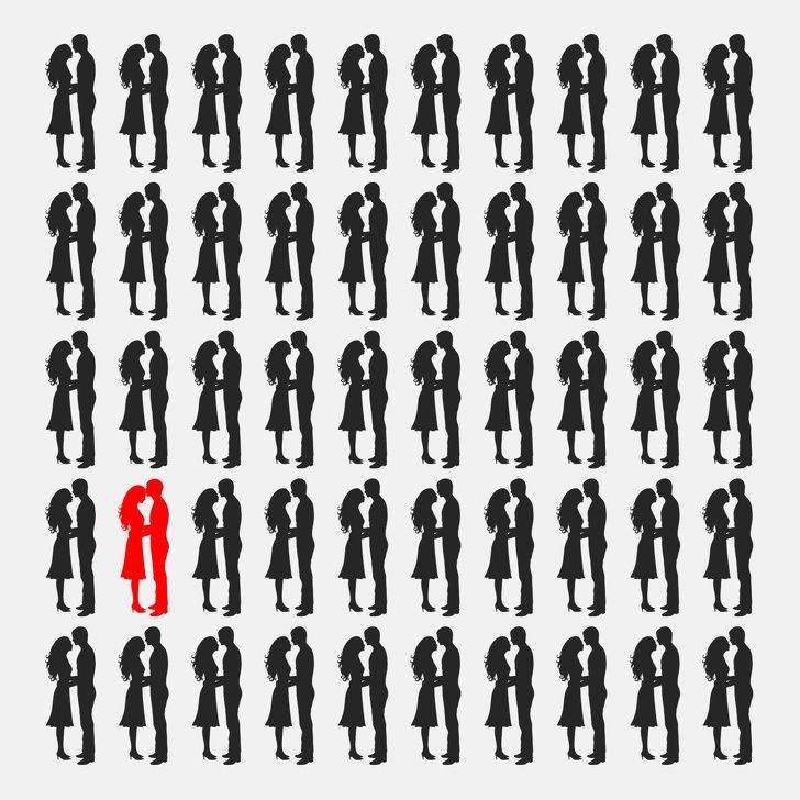 Bu resimde kaç tane hayvan var? - 44