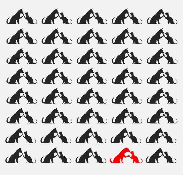 Bu resimde kaç tane hayvan var? - 50