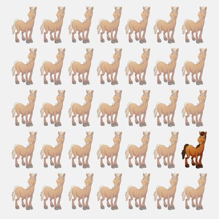 Bu resimde kaç tane hayvan var? - 51