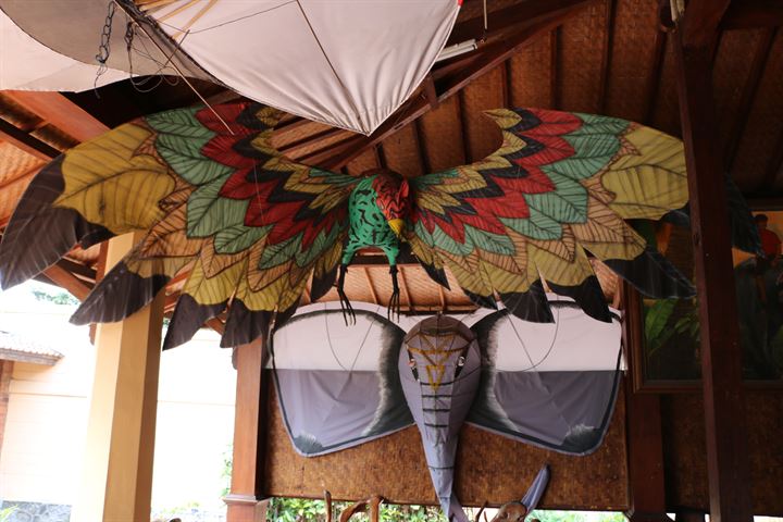 Endonezya'da uçurtma kültürü müzede korunuyor - 4