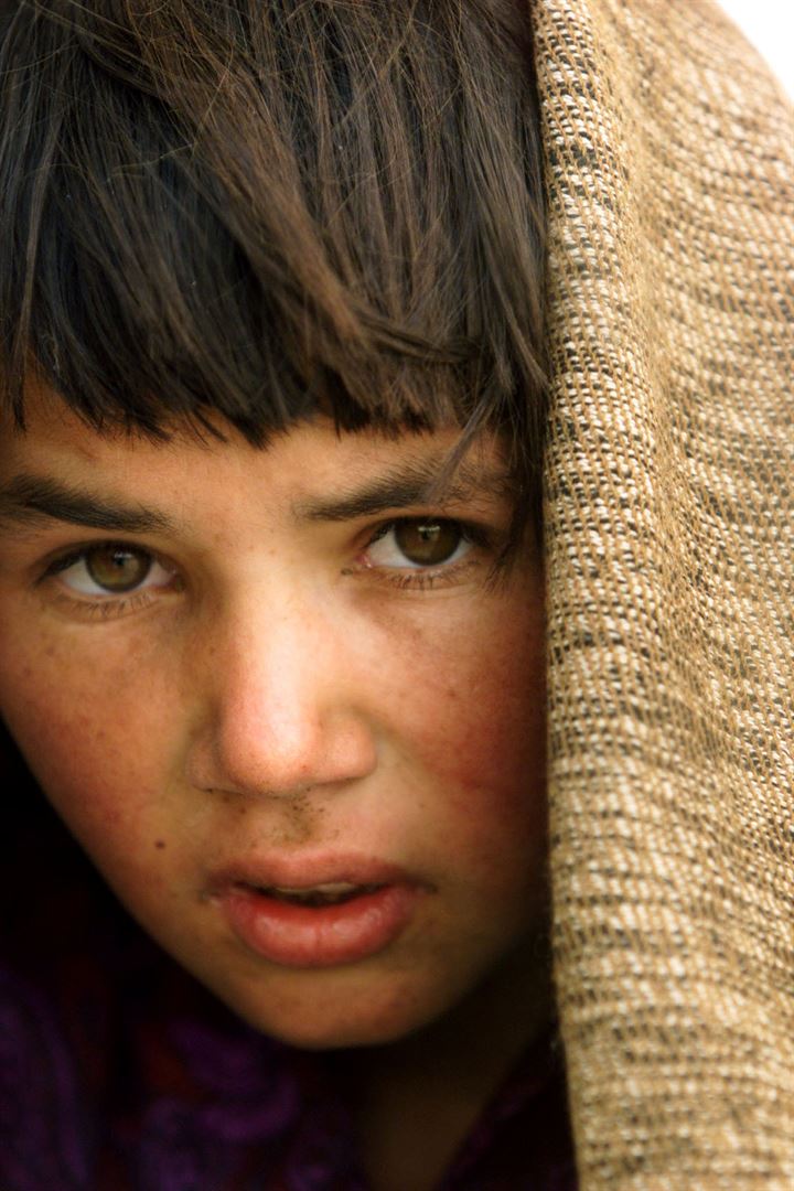 Ünlü foto muhabiri Yannis Behrakis, 58 yaşında hayatını kaybetti - 10